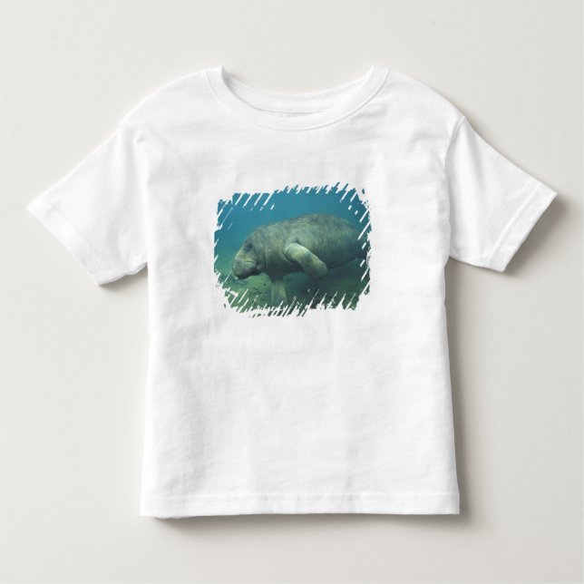 USA, FL, Manatee Toddler T-Shirt (Front)