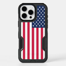 USA Flag