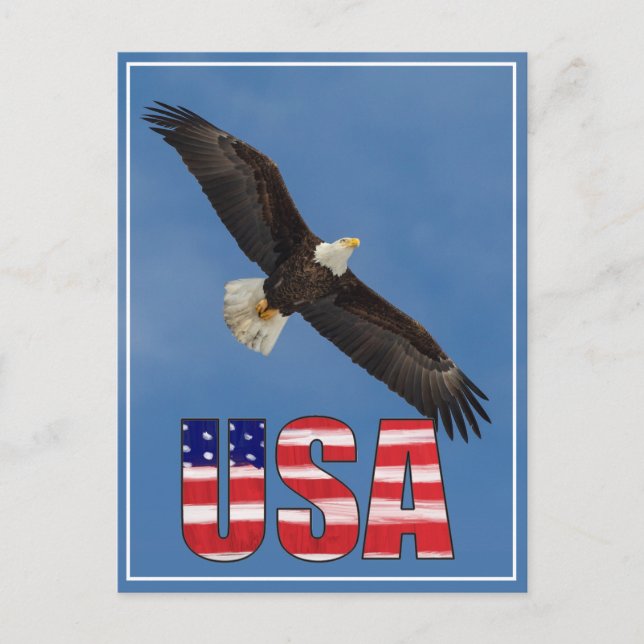 USA Flag And Bald Eagle Postcard (Front)