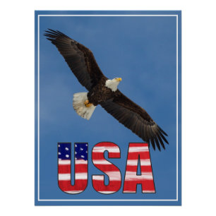 USA Flag And Bald Eagle Poster