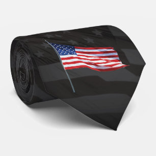 USA Flag   Celebrate Independence Day Tie