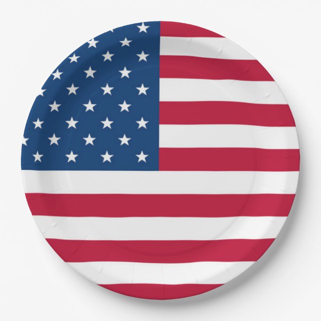 USA Flag design 4th of July Party  Paper Plate (Front)