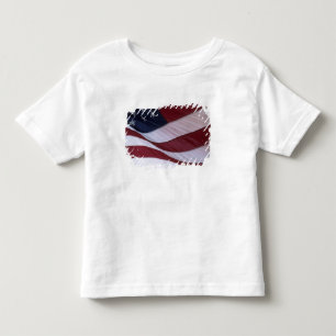 USA flag, North Carolina, USA Toddler T-Shirt