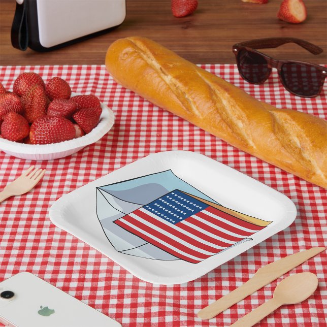 USA Flag On A Card Paper Plate (Creator Uploaded)