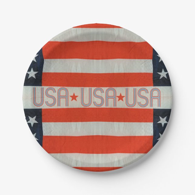 USA Flag Paper Plate (Front)