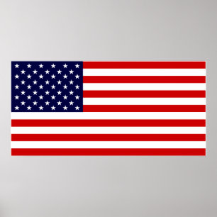 USA Flag Poster