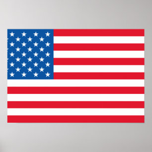 USA Flag stars and stripes Poster