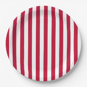 USA Flag Themed Red and White Stripes Pattern Paper Plate