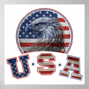 USA Flag Vintage American Eagle American Flag Poster