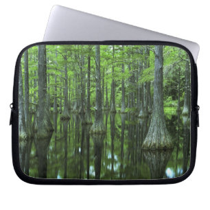 USA, Florida, Apalachicola National Forest, Bald Laptop Sleeve