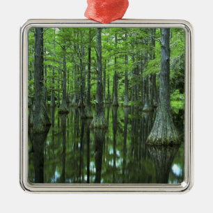 USA, Florida, Apalachicola National Forest, Bald Metal Tree Decoration