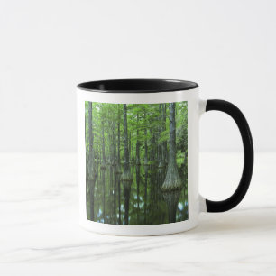 USA, Florida, Apalachicola National Forest, Bald Mug
