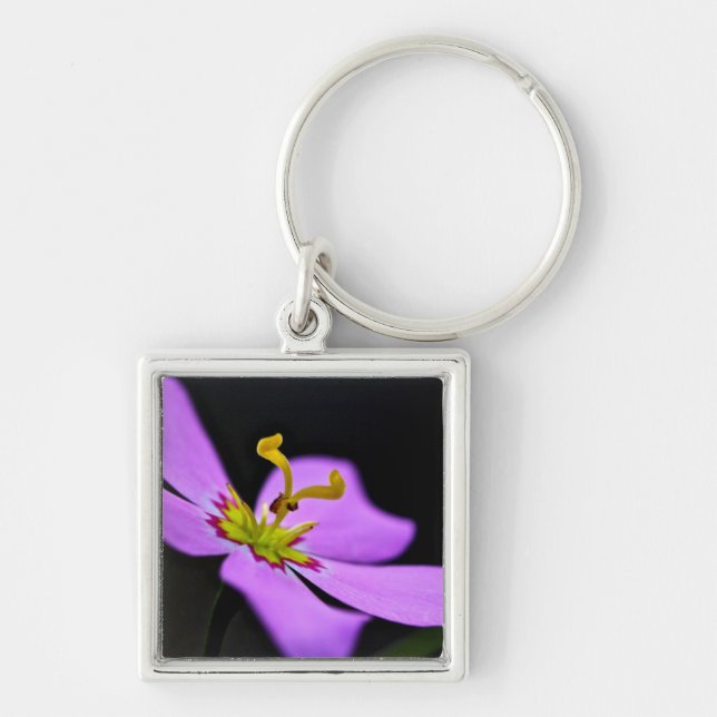 USA, Florida, Big Cypress National Preserve Key Ring (Front)