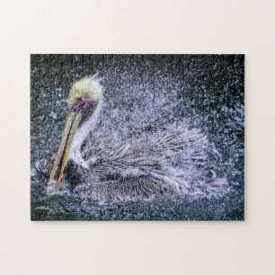 USA, Florida. Brown Pelican Jigsaw Puzzle