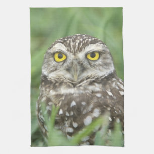 USA, Florida, Cape Coral, Burrowing Owl (Athene Tea Towel
