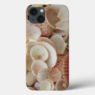 USA, Florida. Close Up Of Shells On Santa Rosa iPhone 13 Case