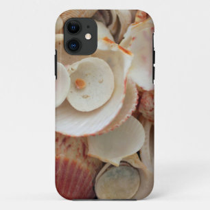 USA, Florida. Close Up Of Shells On Santa Rosa iPhone 11 Case