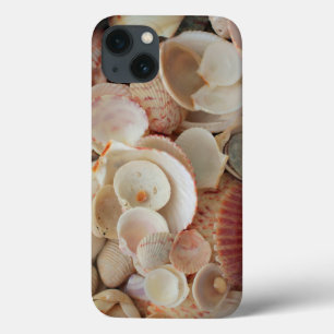 USA, Florida. Close Up Of Shells On Santa Rosa iPhone 13 Case