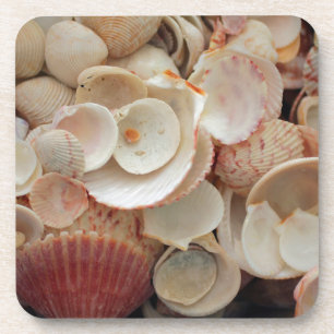 USA, Florida. Close Up Of Shells On Santa Rosa Coaster
