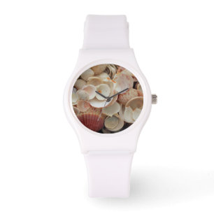 USA, Florida. Close Up Of Shells On Santa Rosa Watch