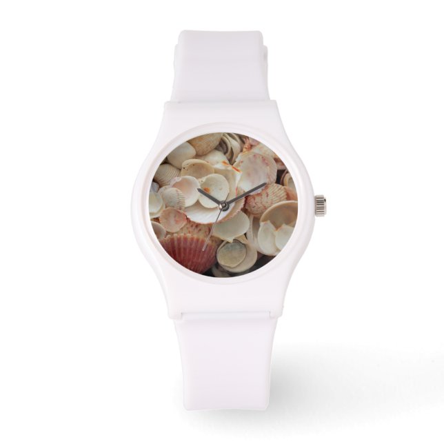 USA, Florida. Close Up Of Shells On Santa Rosa Watch (Front)