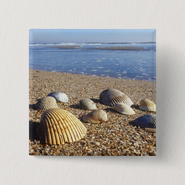 USA, Florida, Coastal Sea Shells 15 Cm Square Badge (Front)