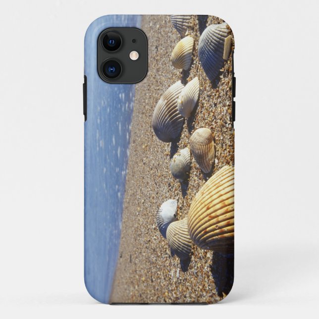 USA, Florida, Coastal Sea Shells Case-Mate iPhone Case (Back)