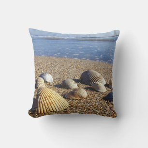 USA, Florida, Coastal Sea Shells Cushion