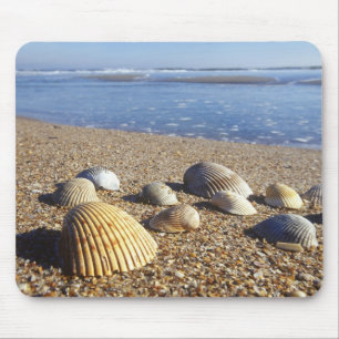 USA, Florida, Coastal Sea Shells Mouse Pad