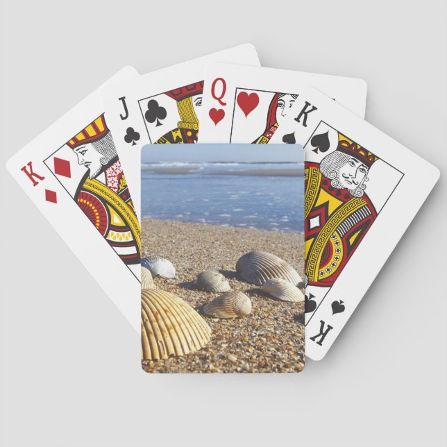 USA, Florida, Coastal Sea Shells Playing Cards (Back)
