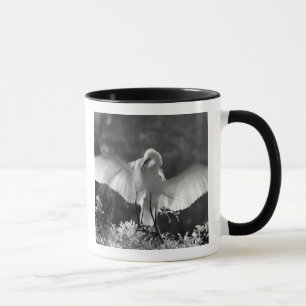 USA, Florida, Great Egret (Ardea alba) infrared 2 Mug