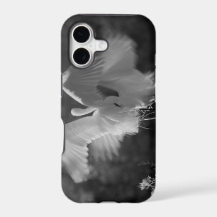 USA, Florida, Great Egret (Ardea alba) infrared 3