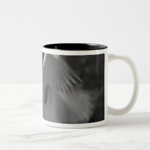 USA, Florida, Great Egret (Ardea alba) infrared 3 Two-Tone Coffee Mug