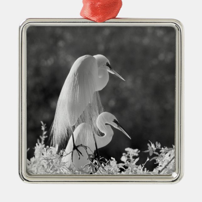 USA, Florida, Great Egret (Ardea alba) infrared Metal Tree Decoration (Front)