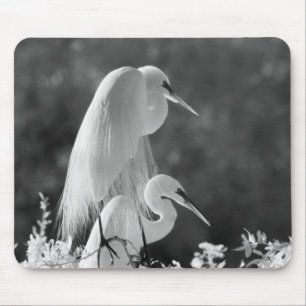 USA, Florida, Great Egret (Ardea alba) infrared Mouse Pad