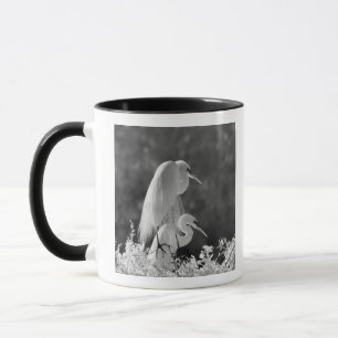 USA, Florida, Great Egret (Ardea alba) infrared Mug