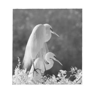 USA, Florida, Great Egret (Ardea alba) infrared Notepad