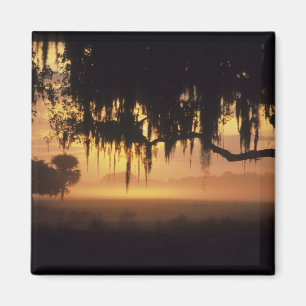 USA, Florida, Lake Kissimmee. Sunrise silhouette Magnet
