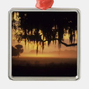 USA, Florida, Lake Kissimmee. Sunrise silhouette Metal Tree Decoration