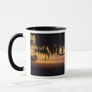 USA, Florida, Lake Kissimmee. Sunrise silhouette Mug