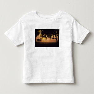 USA, Florida, Lake Kissimmee. Sunrise silhouette Toddler T-Shirt