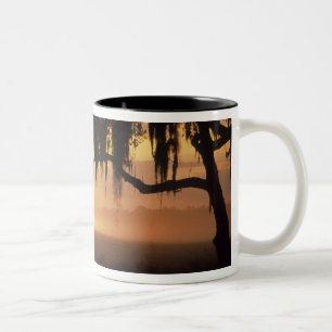 USA, Florida, Lake Kissimmee. Sunrise silhouette Two-Tone Coffee Mug