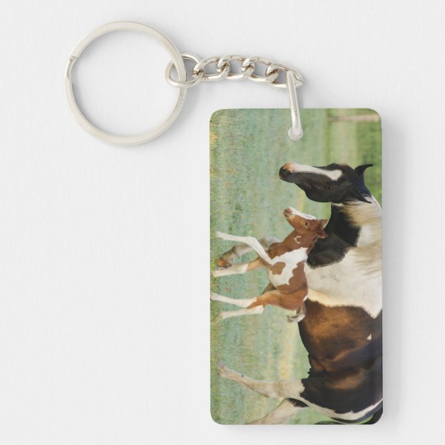 USA, Florida, Newborn Paint filly Key Ring (Front)