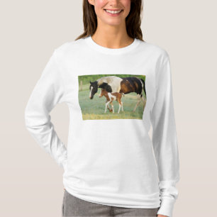 USA, Florida, Newborn Paint filly T-Shirt
