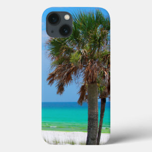 USA, Florida. Palm Trees On Emerald Coast iPhone 13 Case