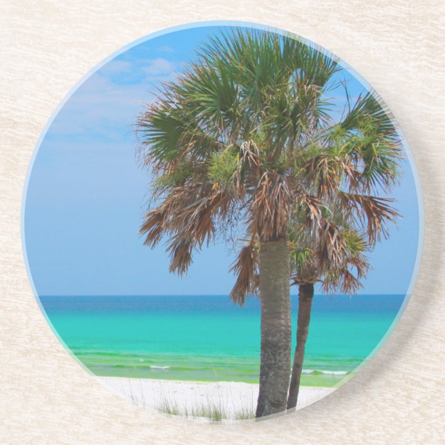 USA, Florida. Palm Trees On Emerald Coast Coaster (Front)