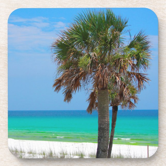 USA, Florida. Palm Trees On Emerald Coast Coaster (Front)