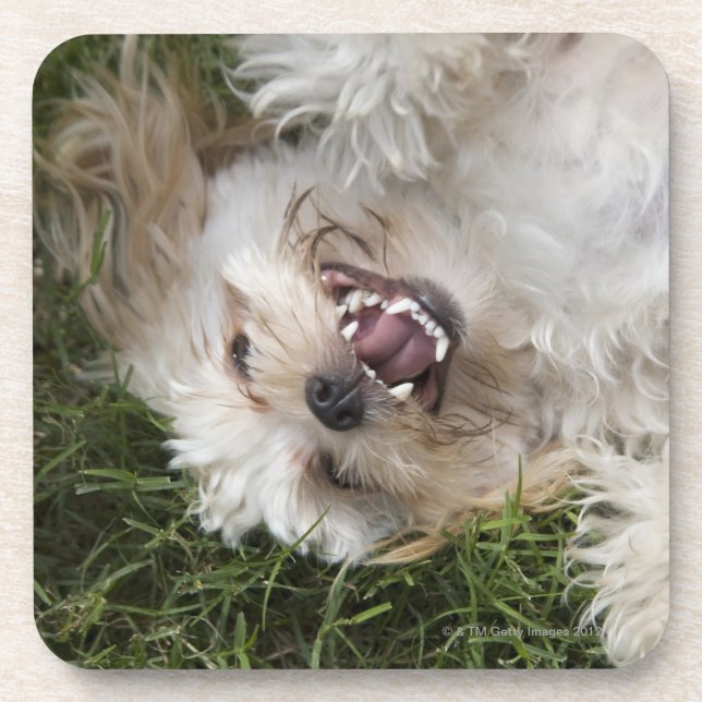 USA, Florida, Ponte Vedra Beach Coaster (Front)