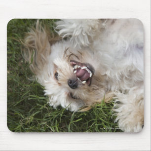 USA, Florida, Ponte Vedra Beach Mouse Pad