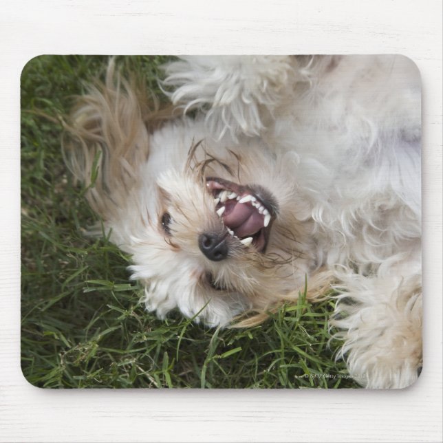 USA, Florida, Ponte Vedra Beach Mouse Pad (Front)